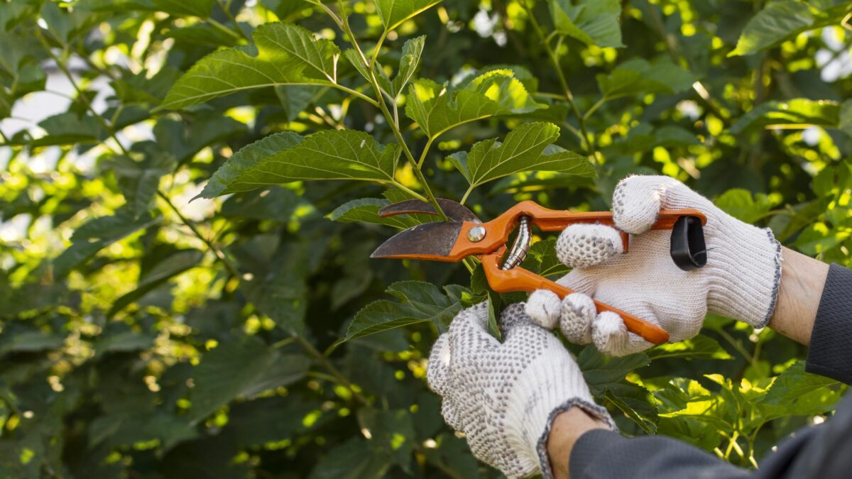 EMMAUS GENOVA - Cooperativa Sociale di Genova che si occupa di inserimento lavorativo di persone svantaggiate, che impiega nei settori della ristorazione, del catering e della cura dell’ambiente